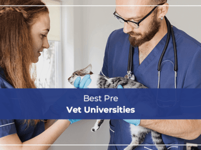 Best Pre Vet Universities