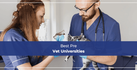 Best Pre Vet Universities