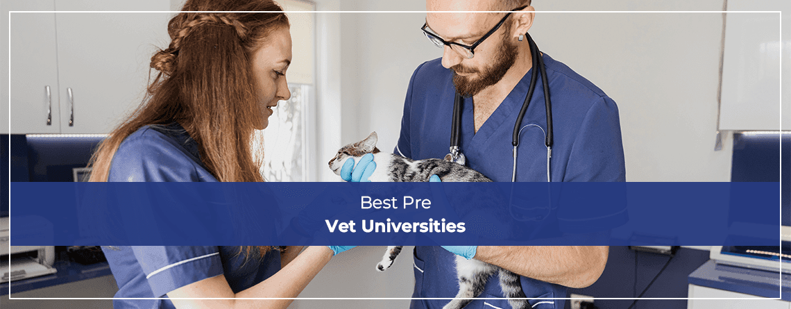 Best Pre Vet Universities