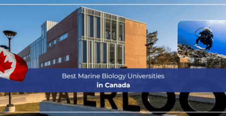 Best Marine Biology Universities in Canada